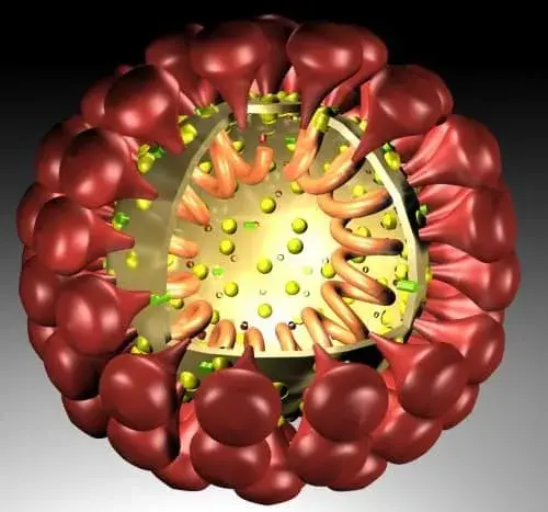 Вирус убавит у людей самомнение